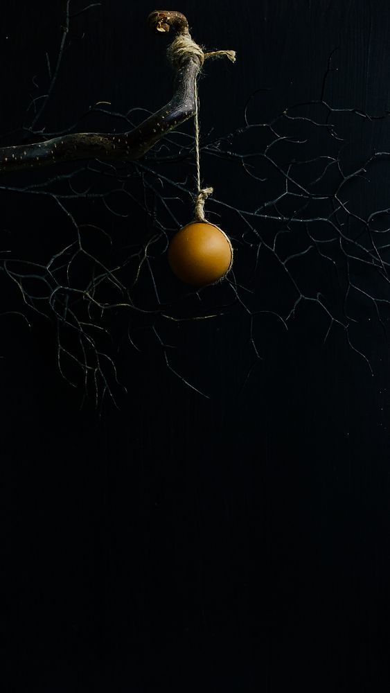 Photograph by Евгений