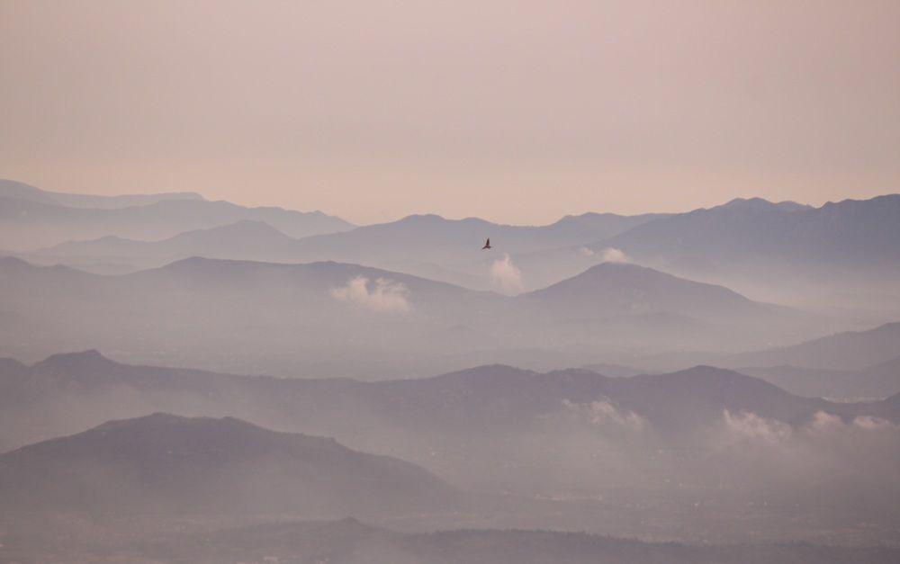 Photograph by Mathew Nishanth