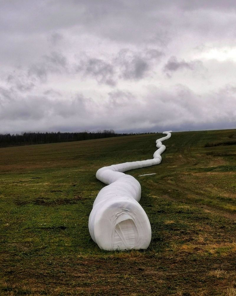 Photograph by Мария Бартош