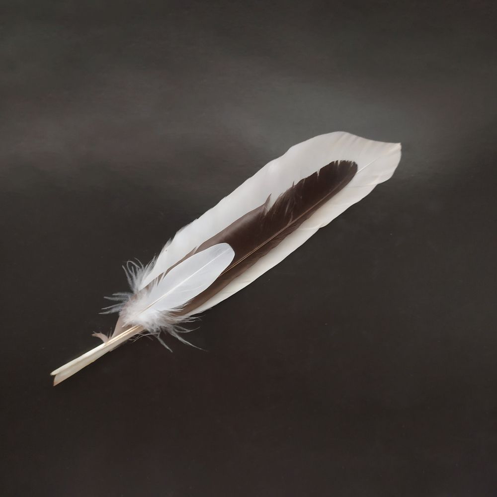 Photograph by Светлана Семенова