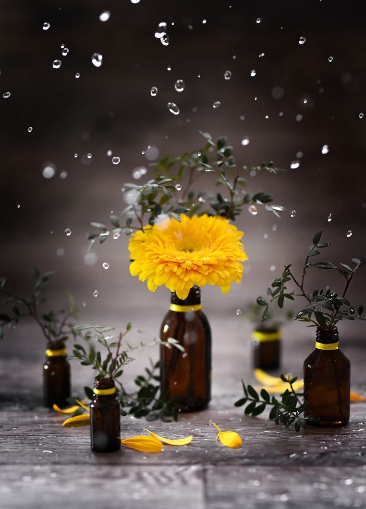 Photograph by Анна Штабель