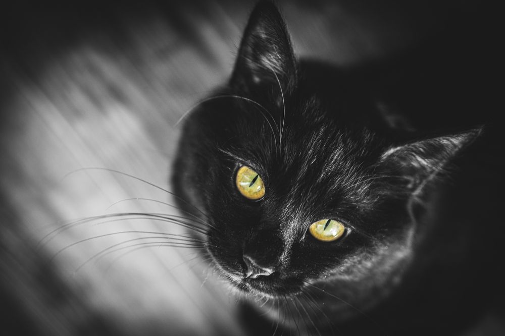 Photograph by Максим Стадниченко