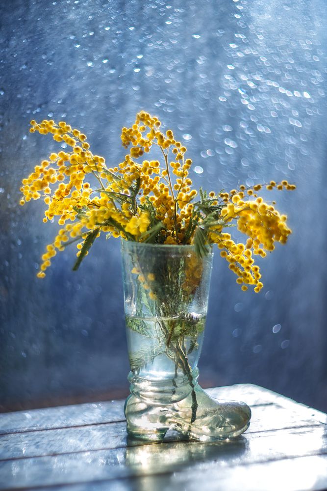 Photograph by Ксения Базарова