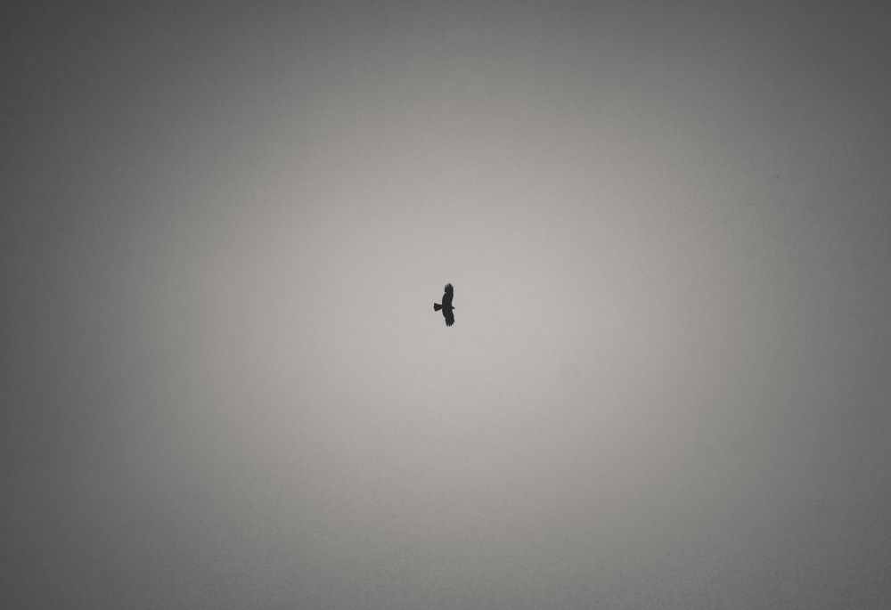 Photograph by Ольга Остапенко