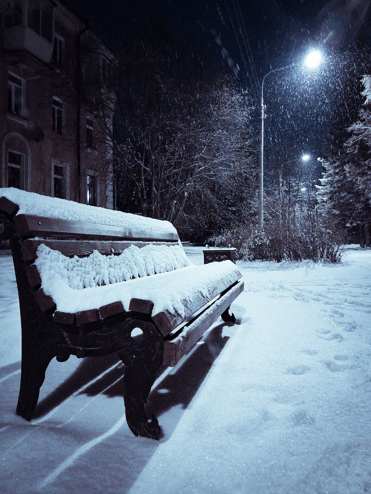 Студенческая скамья