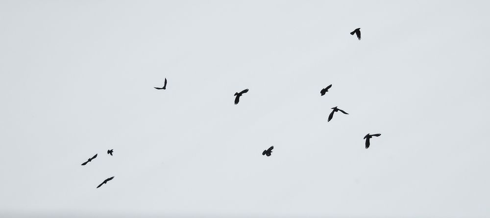 Photograph by Виктор