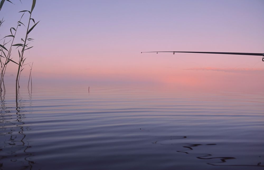 Photograph by Сергей Марков