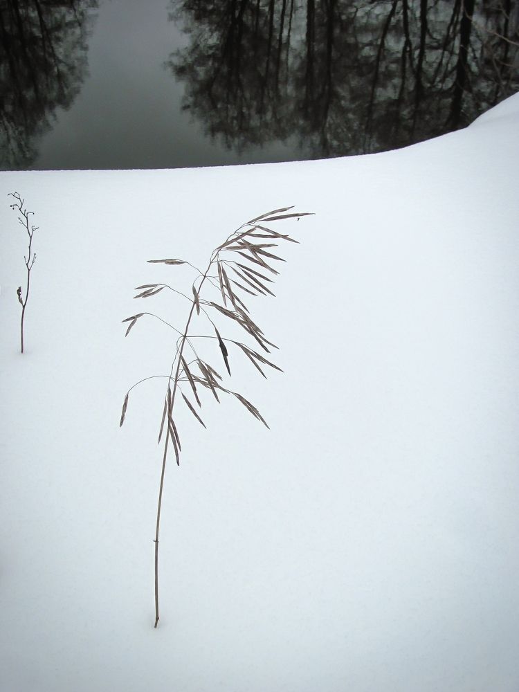 Photograph by Виктор