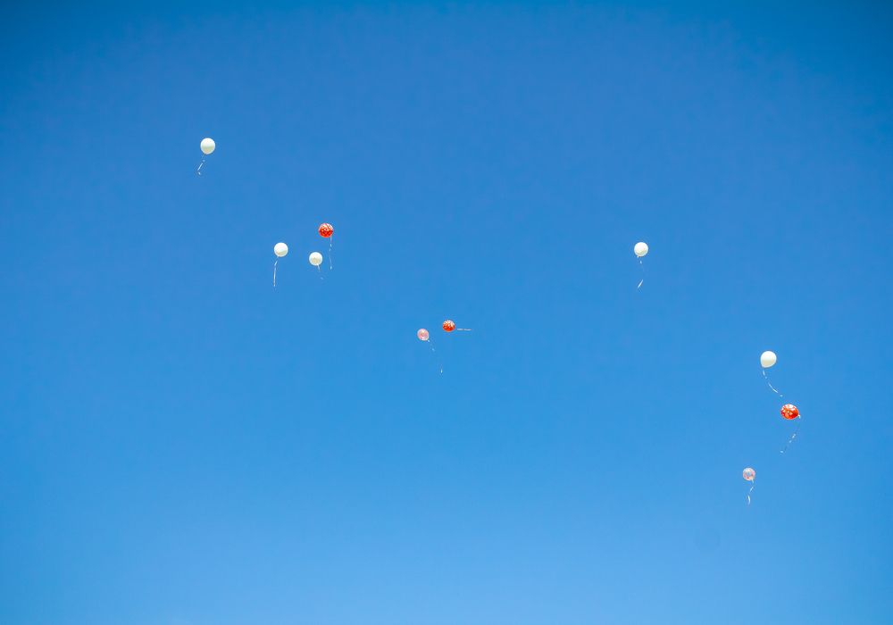 Photograph by Нефедова Ангелина