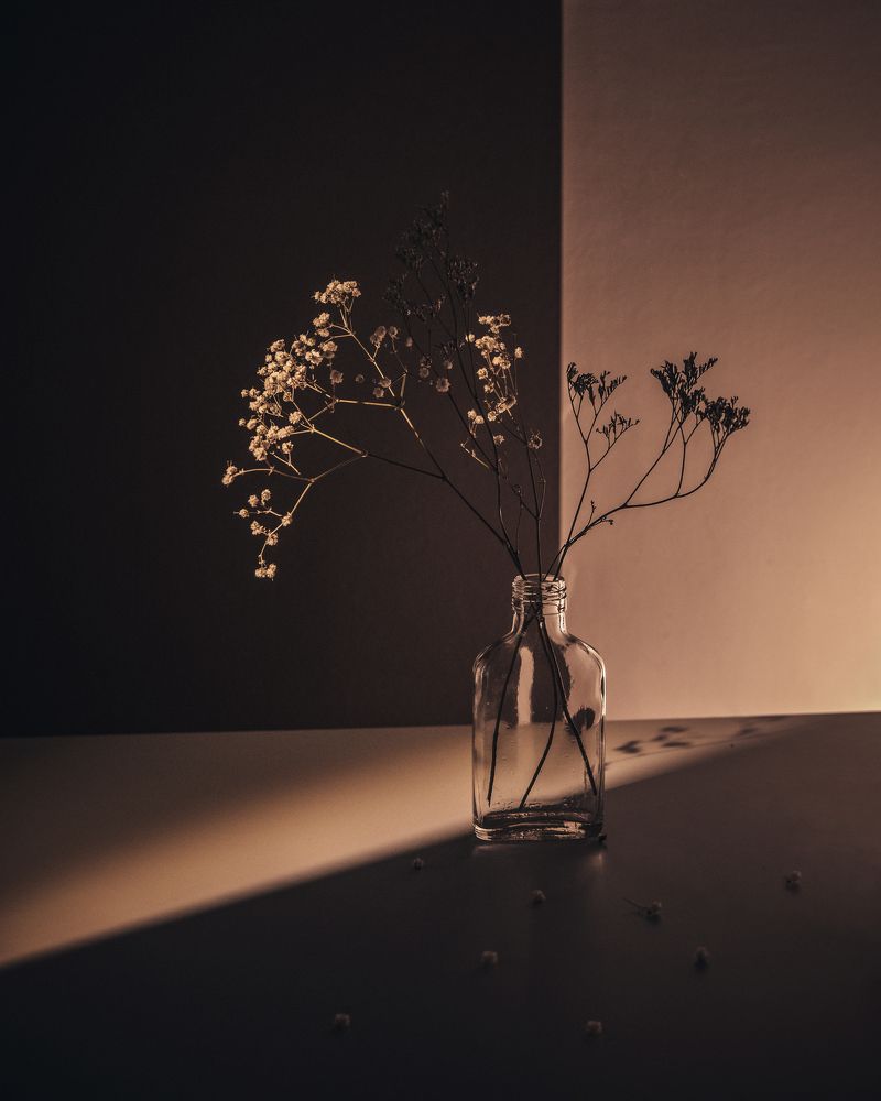 Photograph by Елизавета Лутцева