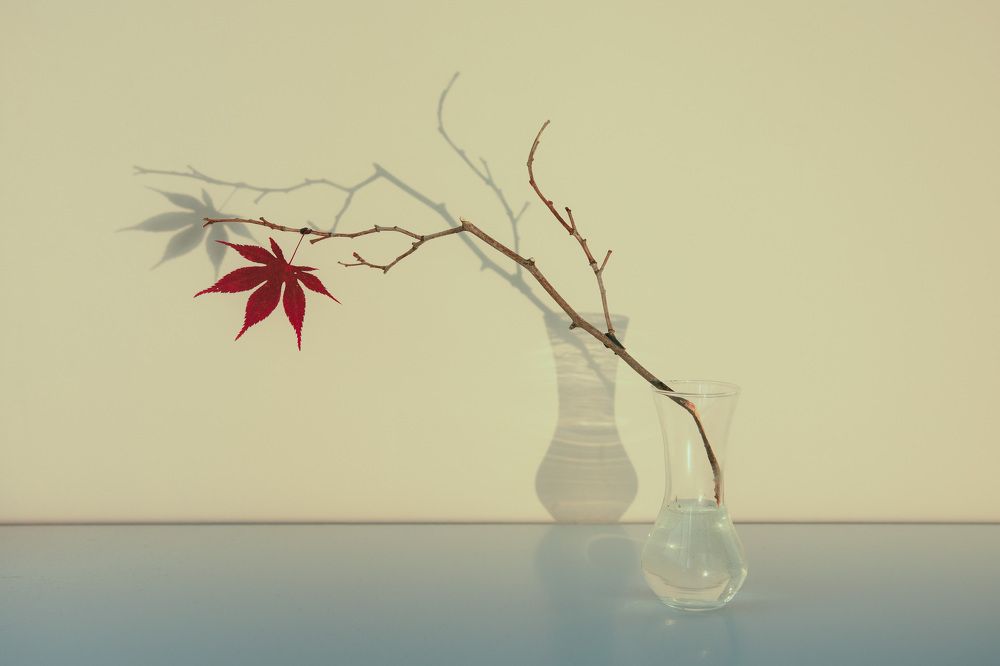 Photograph by Елизавета Лутцева