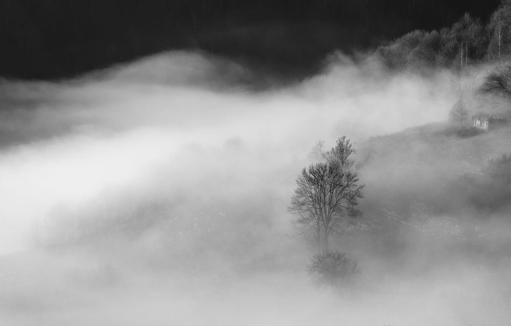 Фотография автора Flegner Calin