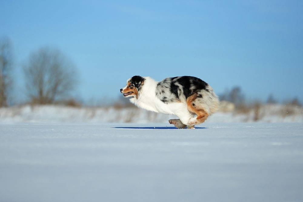 Photograph by Лана Полякова