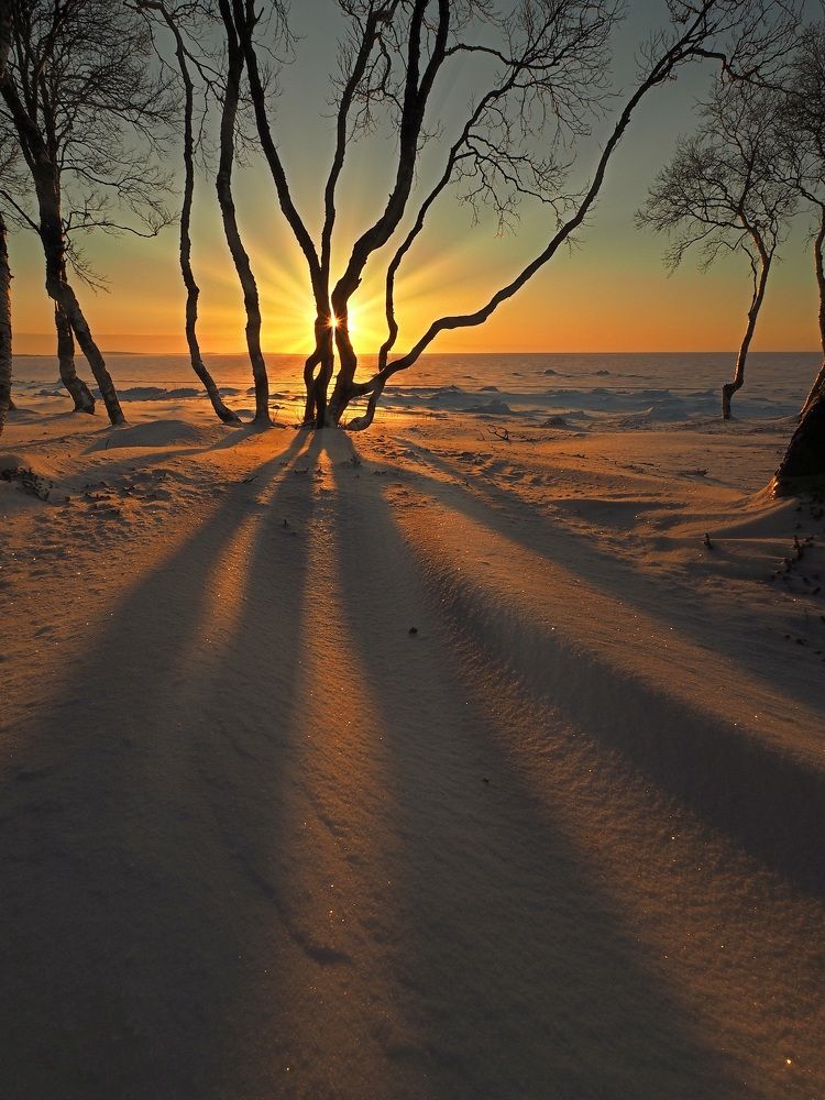 Photograph by Евгений Яковлев