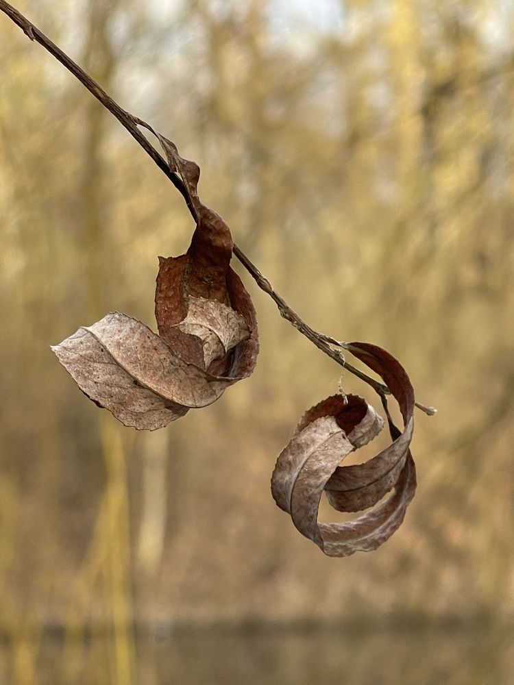 Photograph by Lila Sabbaghian Rad