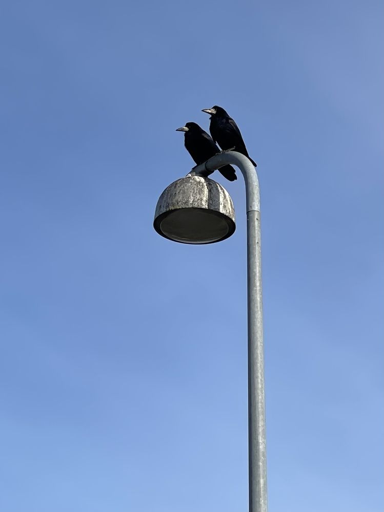 Photograph by Lila Sabbaghian Rad