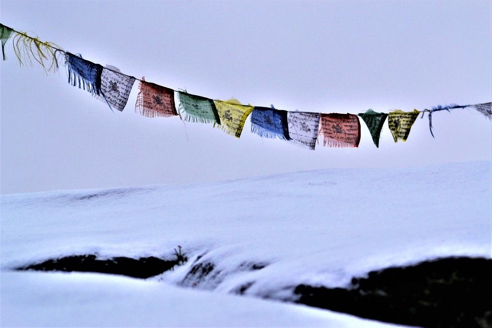 Photograph by Zdeňka Hudcová