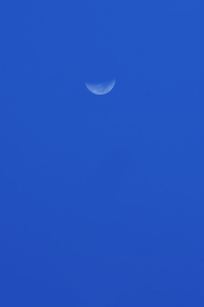 Photograph by LAHIRU GURUGE