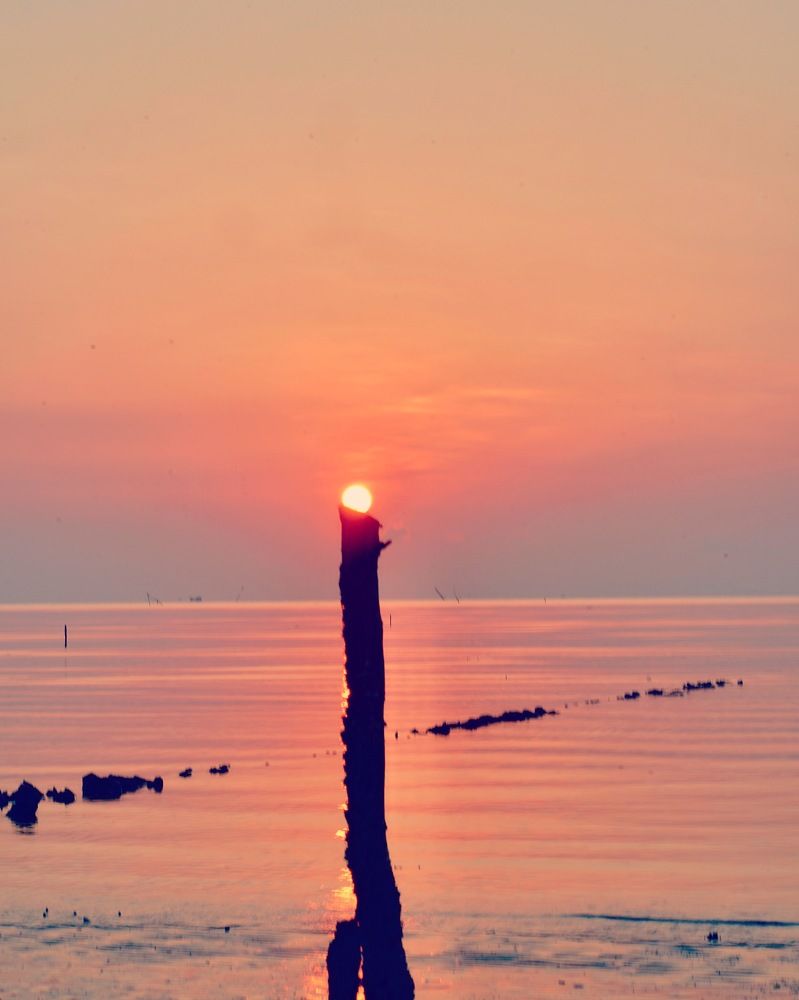 Photograph by Trung Duong