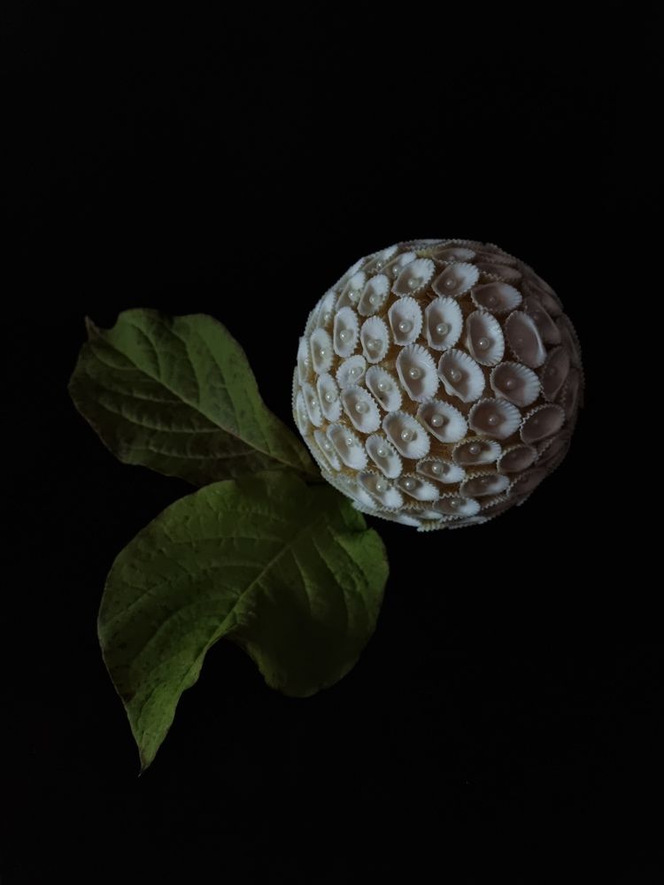 Photograph by Юлия Звонарева