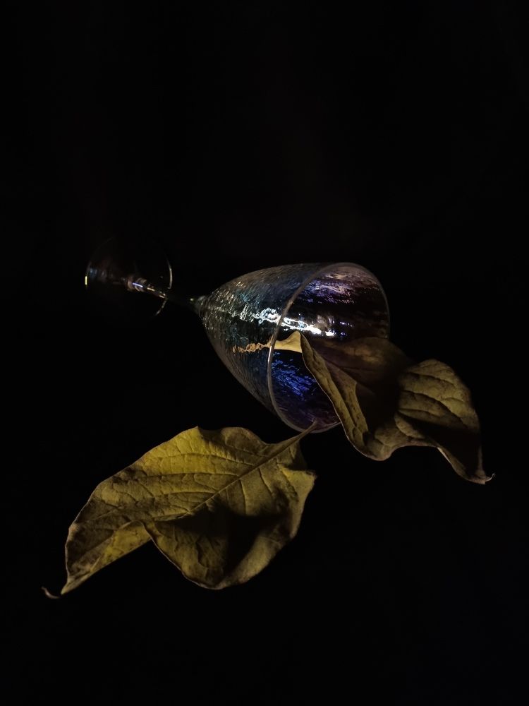 Photograph by Юлия Звонарева