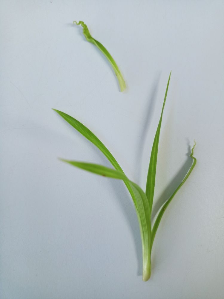 Фотография автора Татьяна Шахова