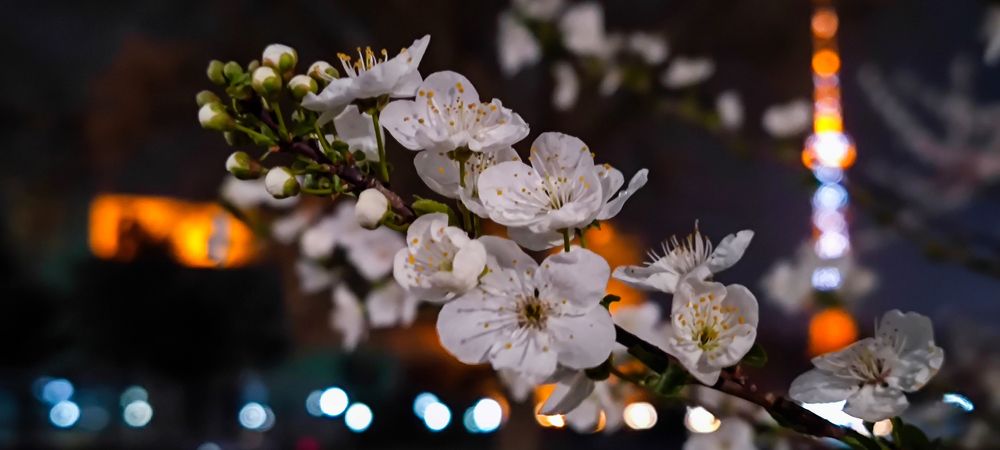 Photograph by Yuriy  Korsuntsev