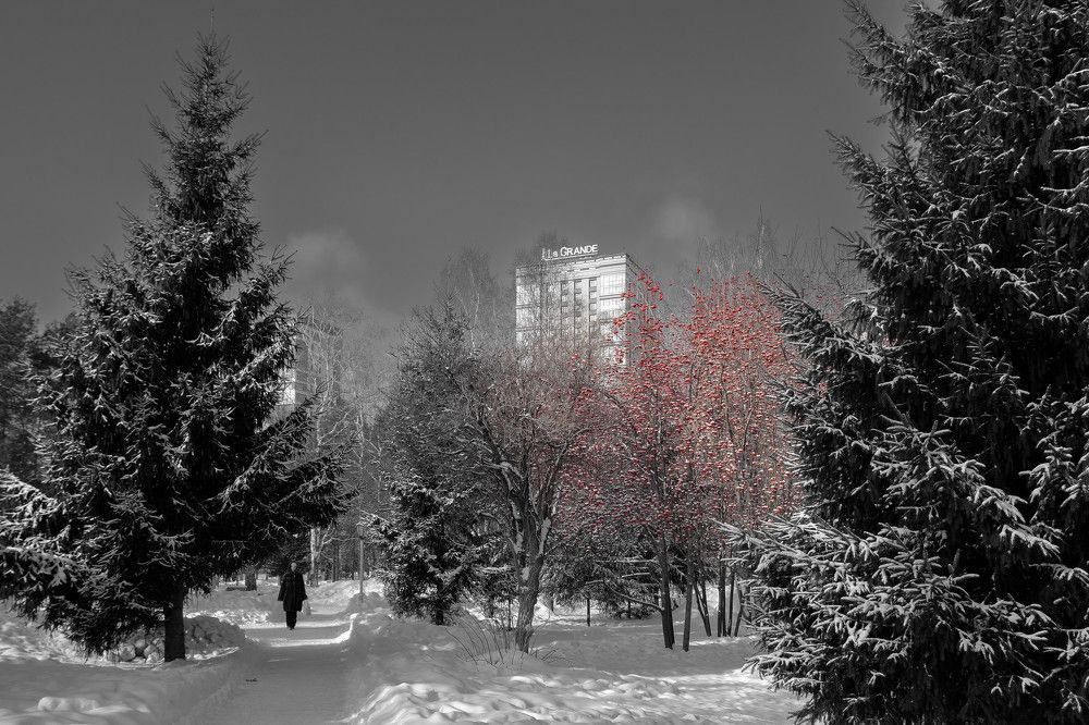 Photograph by Алексей Родченко