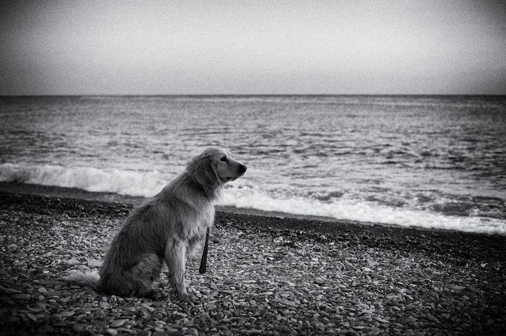 Старик и море