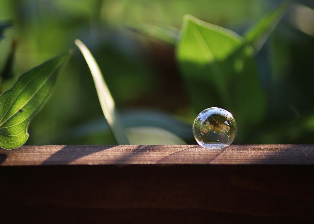 Photograph by Давлеева Эльза