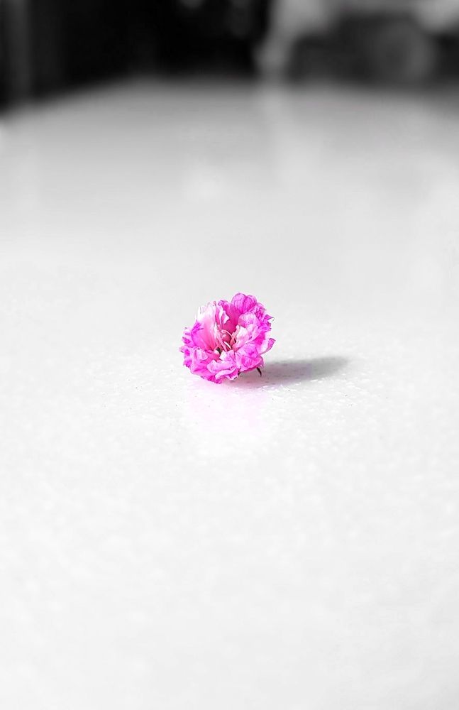 Фотография автора Виталий Петров