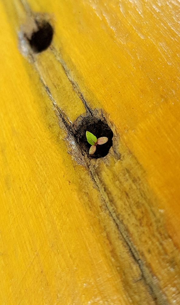 Фотография автора Виталий Петров