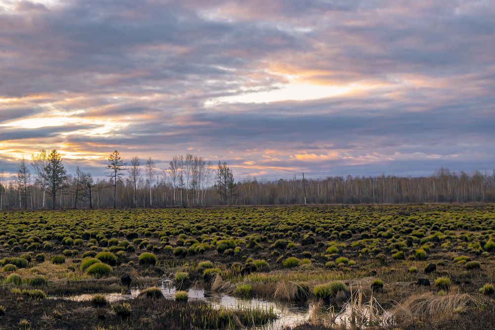 Photograph by Блохина Ольга