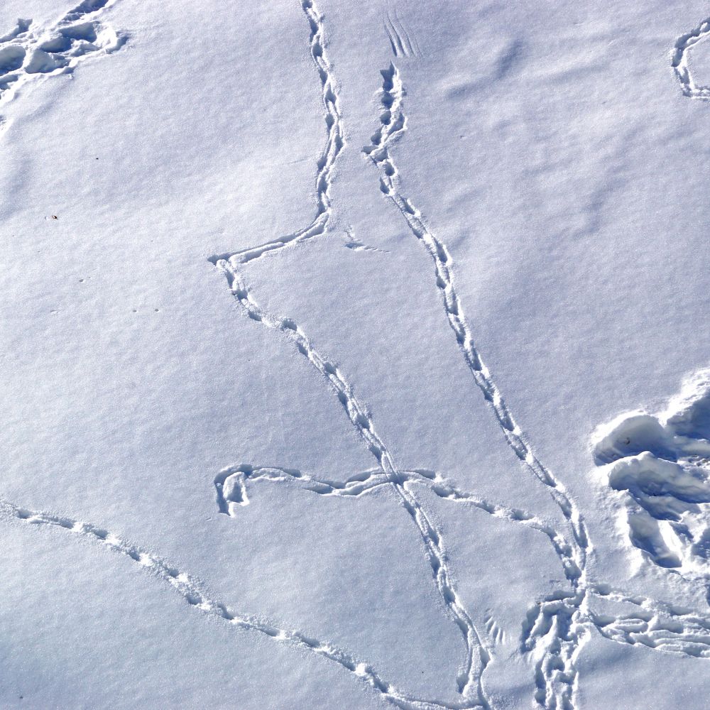 Photograph by Олег Машковский