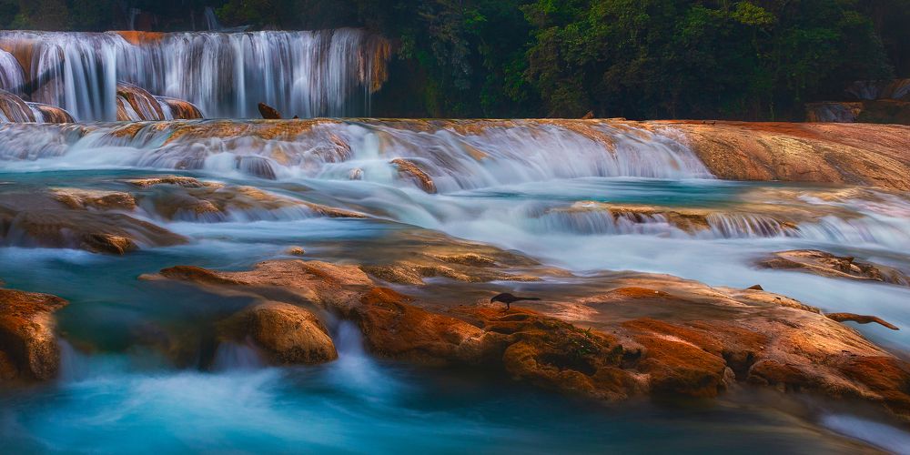 Photograph by Ángel Barrera