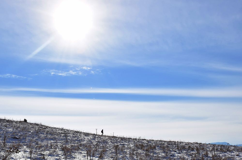 Photograph by Margo Margo