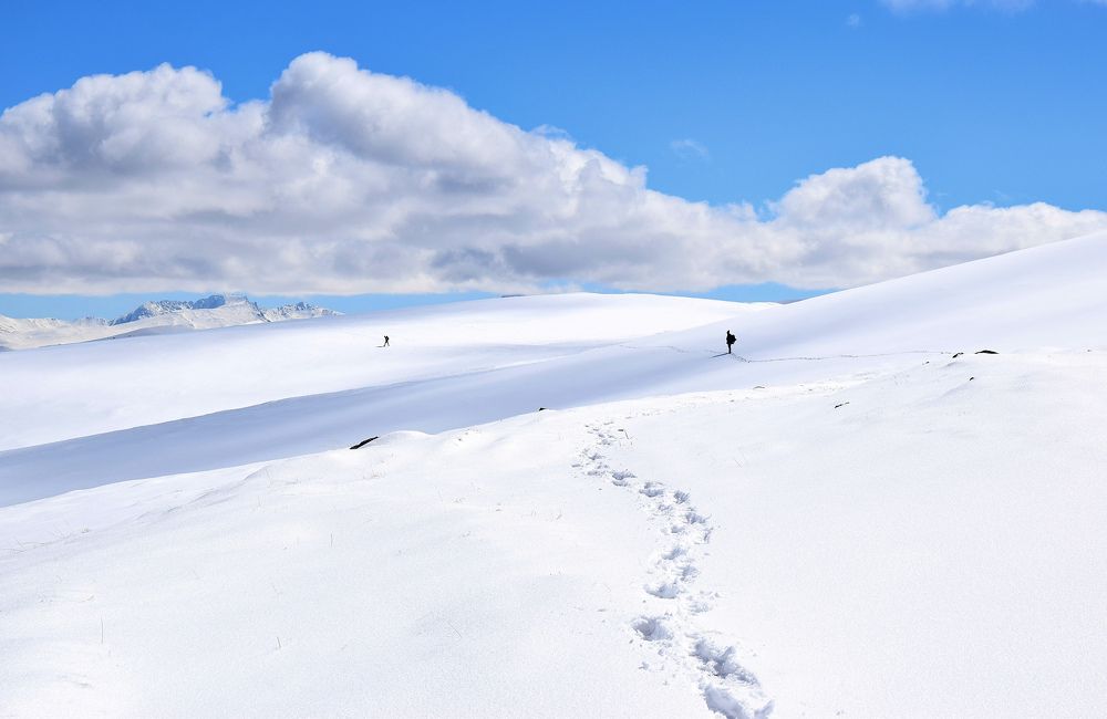 Photograph by Margo Margo