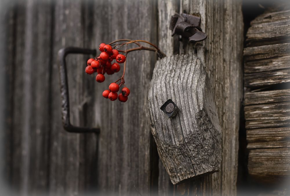 Осенняя грусть.