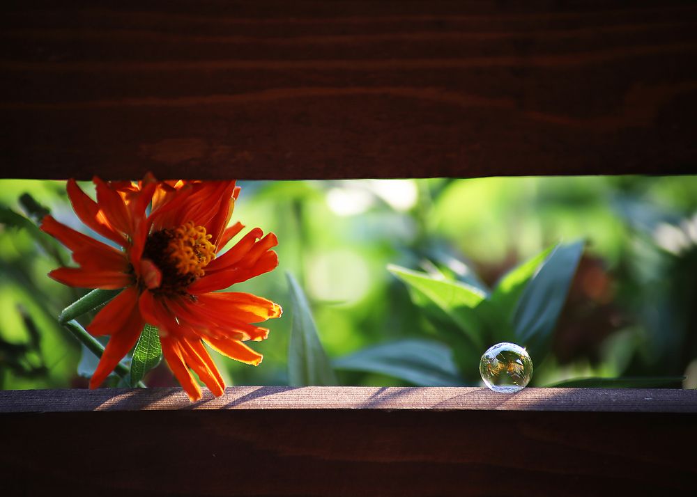 Photograph by Давлеева Эльза