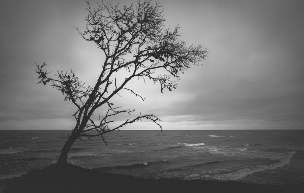 Photograph by Alex idelchik