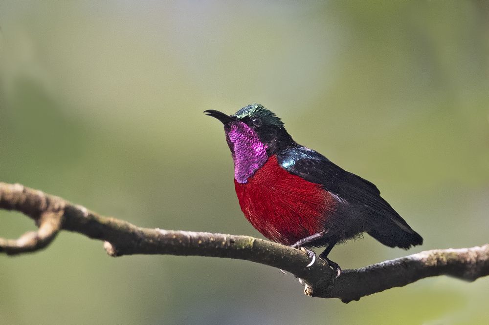 Photograph by DR ARPIT BANSAL