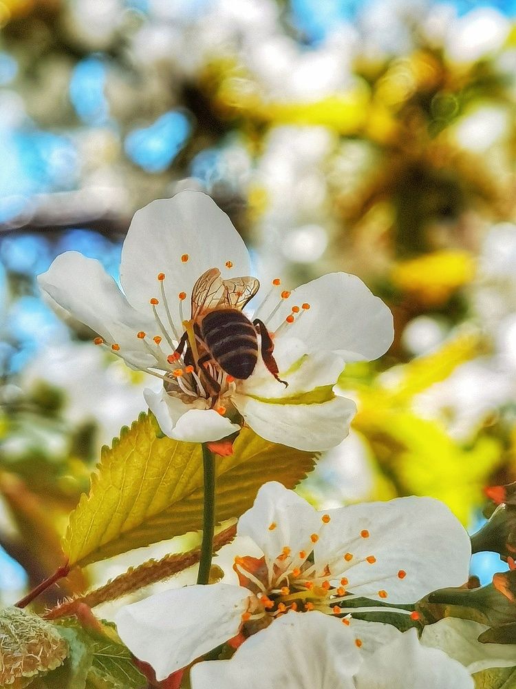 Photograph by Ema Đunđek