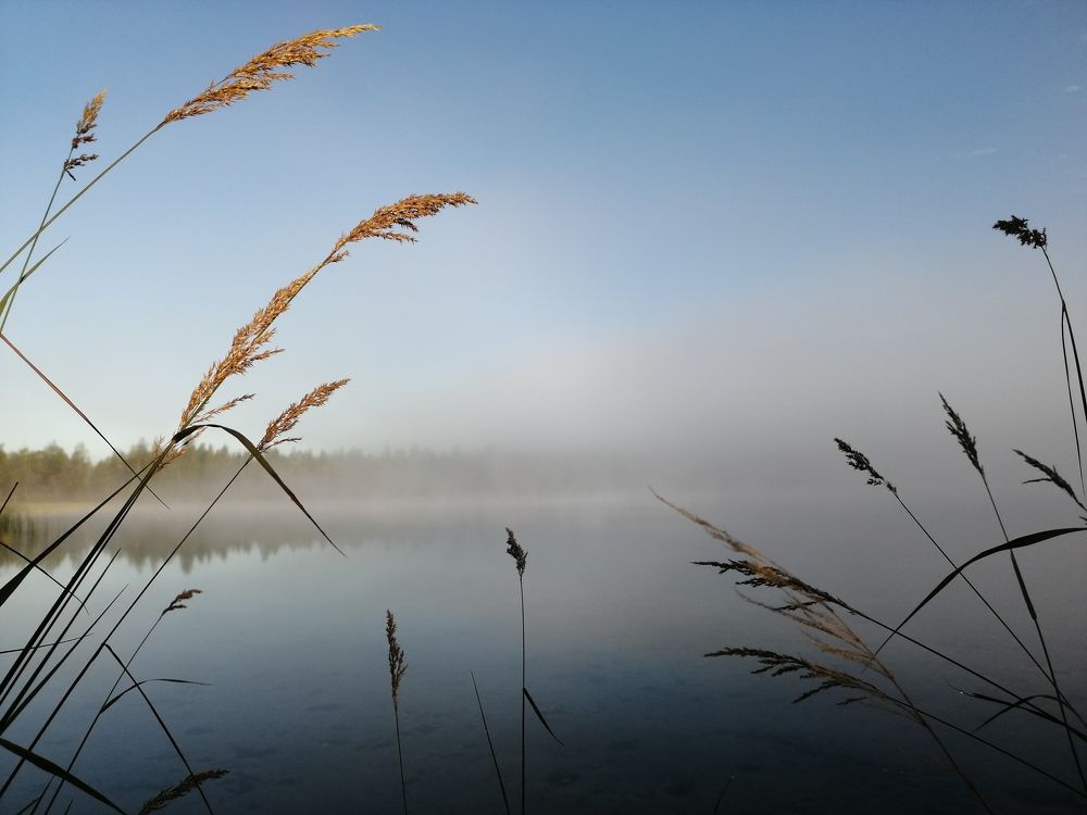 Photograph by Ольга Радько