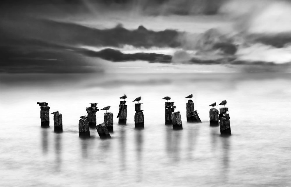 Photograph by Vyacheslav Lozhkin