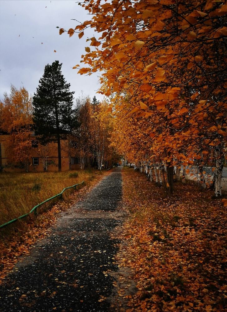 Photograph by Ольга Радько