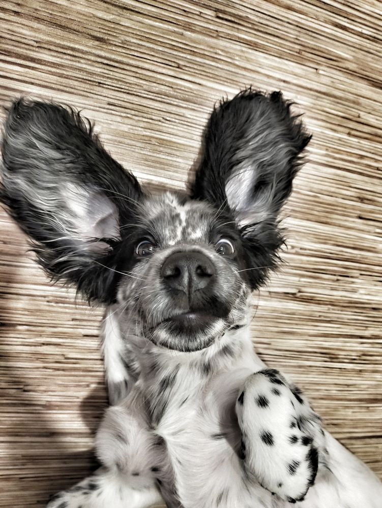 Photograph by Татьяна Герасименко