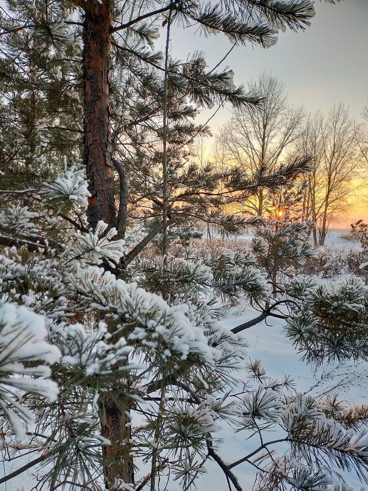 Photograph by Татьяна Герасименко