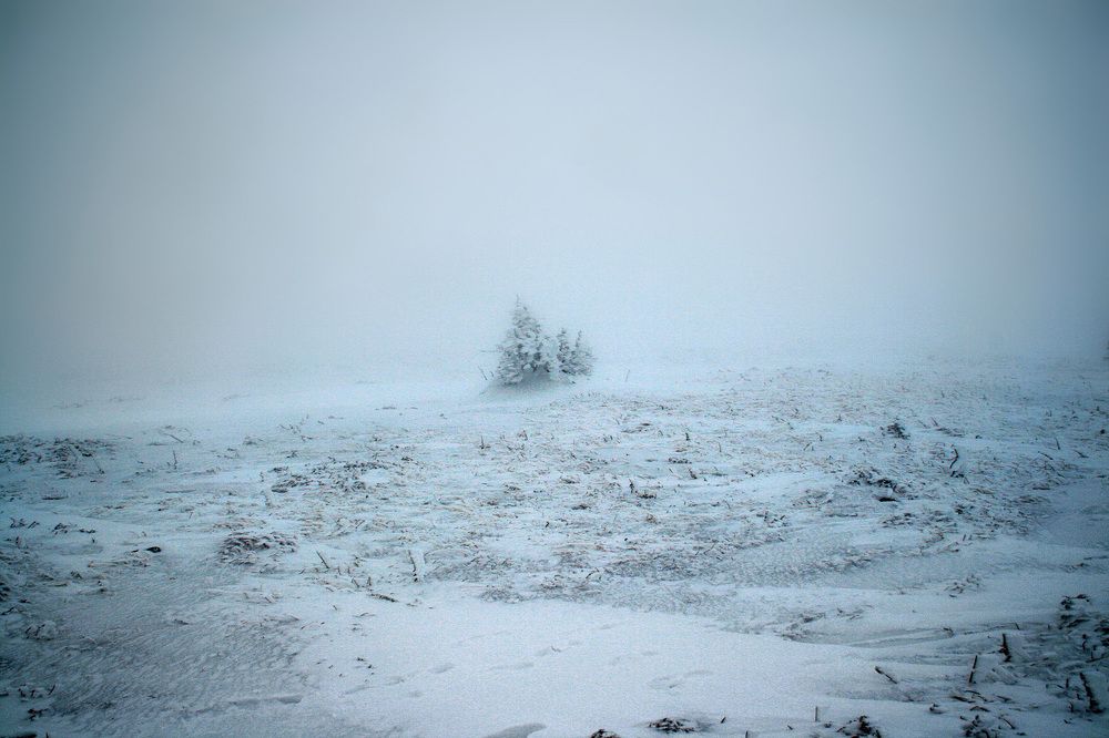 Метель в горах...