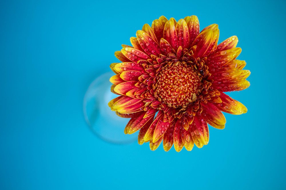 Фотография автора Екатерина Освальд