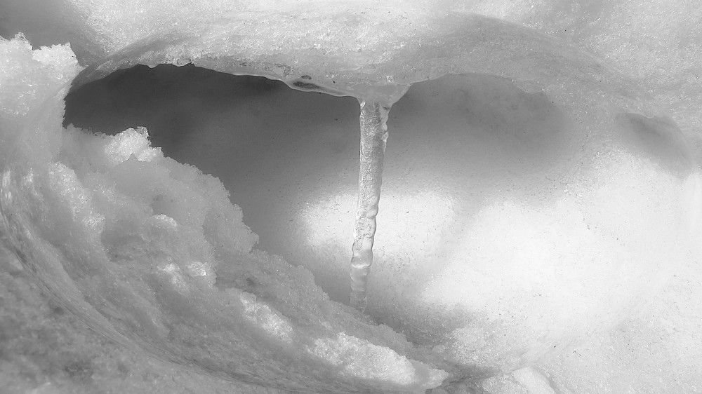 Photograph by Елена